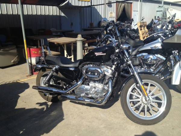 2008 harley davidson xl883 sportster