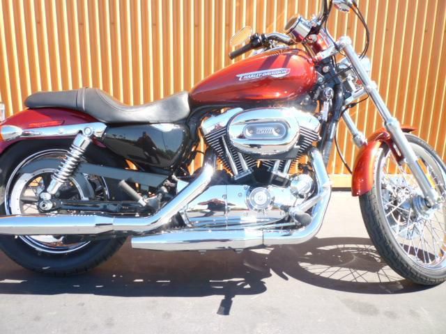 2008 harley-davidson xl 1200c sportster 1200 custom  cruiser 