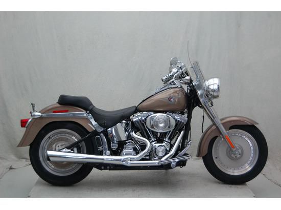 2004 harley-davidson flstfi  cruiser 