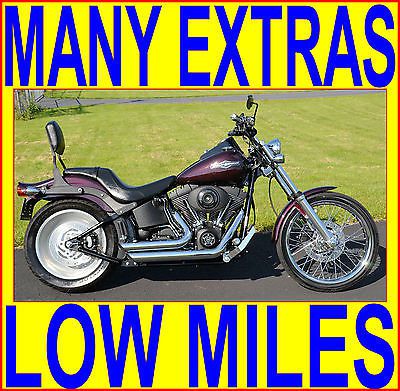 Harley-davidson : softail 2006 harley davidson softail night