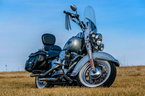 2006 harley-davidson softail