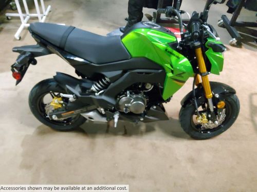 2024 Kawasaki Z125 PRO