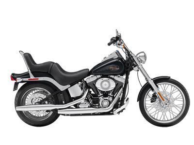 2009 harley-davidson fxstc softail custom