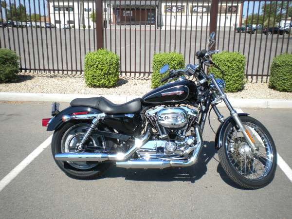 2009 harley-davidson xl 1200c sportster 1200 custom