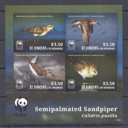 U308 2014 ST.VINCENT WWF BIRDS SEMIPALMATED SANDPIPER 1KB MNH