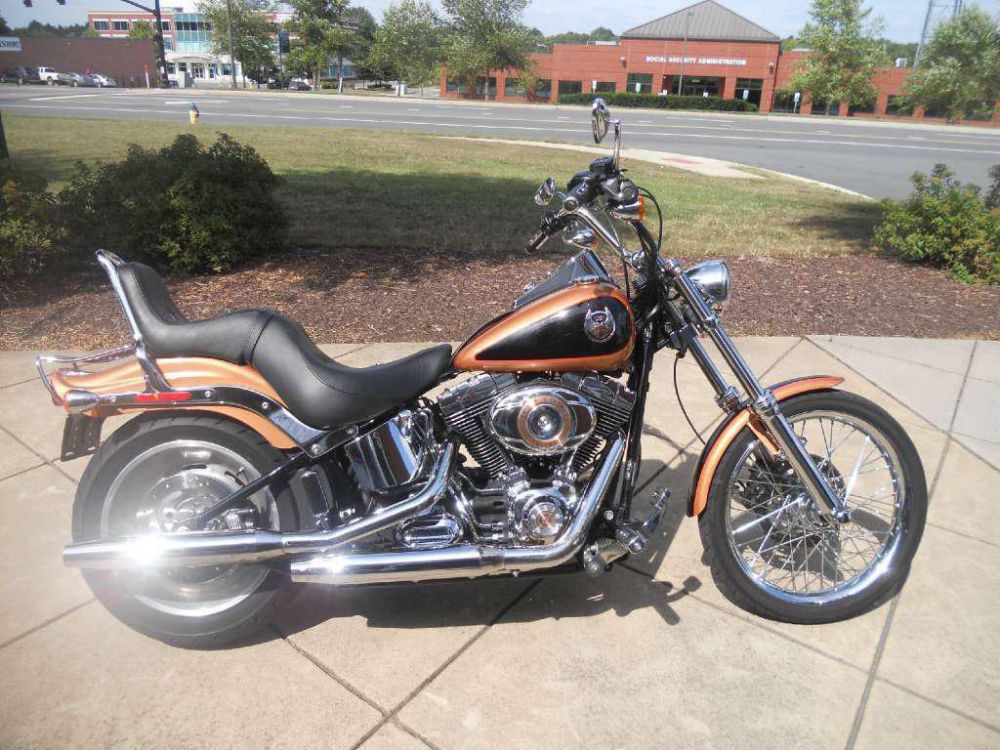 2008 harley-davidson fxstc softail custom  cruiser 