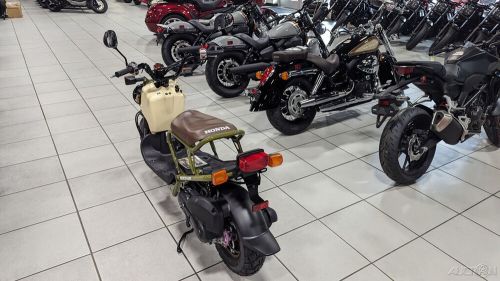 2024 Honda RUCKUS