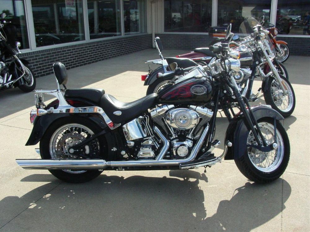 2005 harley-davidson flstsc/flstsci softail springer classic  cruiser 