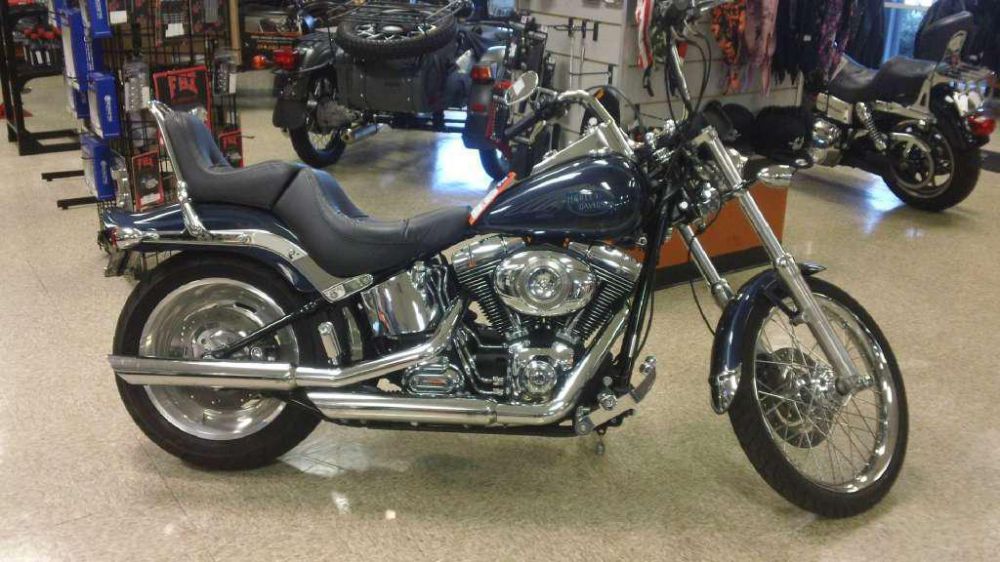 2008 harley-davidson fxstc softail custom  cruiser 