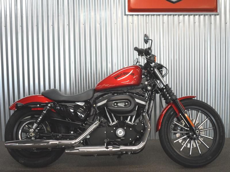 2013 harley-davidson xl883n - iron 883  standard 