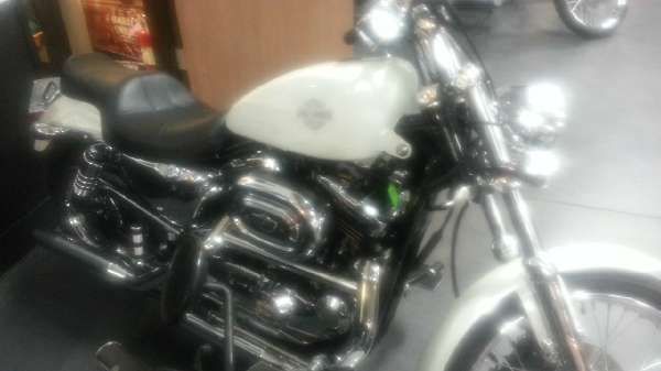 2003 harley-davidson xl 1200c sportster 1200 custom