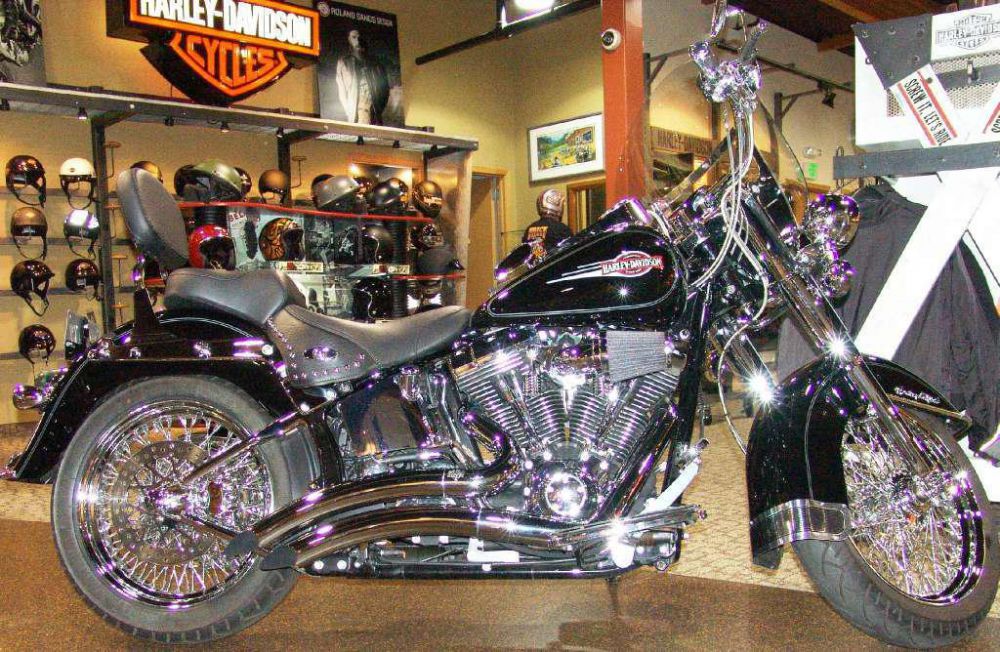 2006 harley-davidson flstc/flstci heritage softail classic  cruiser 