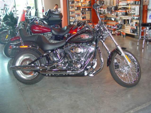 2008 harley-davidson fxstc softail custom  cruiser 