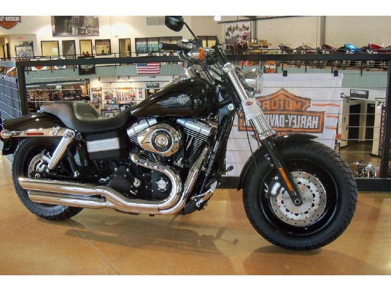 2009 harley-davidson fxdf dyna fat bob 