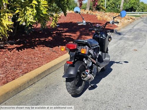 2019 Honda Ruckus