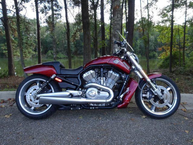 2009 harley-davidson vrscf v-rod muscle  cruiser 