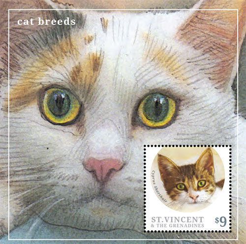 St Vincent - Cat Breeds, Cyprus Shorthair, 2013 - S/S MNH