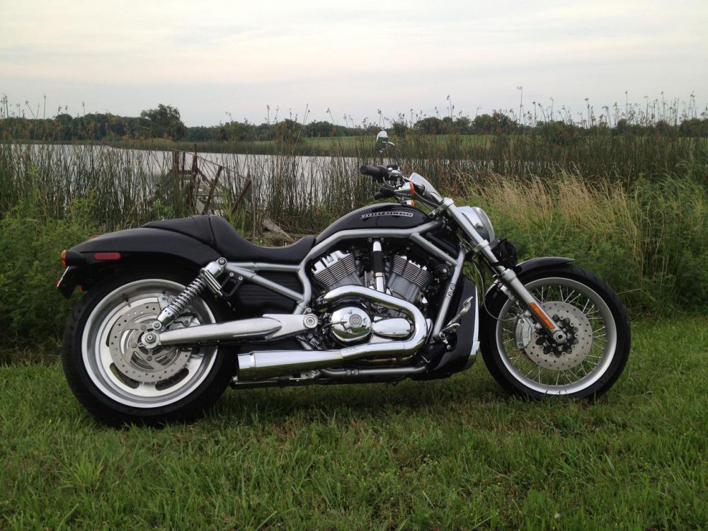 2008 harley-davidson v-rod  other 