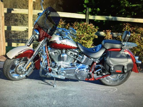 2010 harley-davidson softail