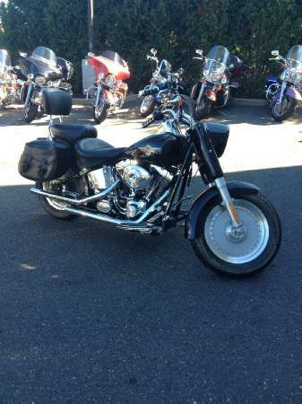 2002 harley-davidson flstf/flstfi fat boy