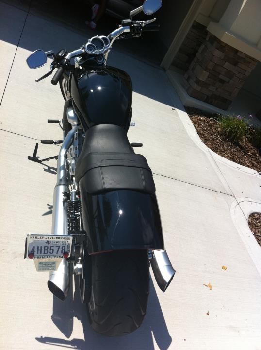 2011 Harley Davidson Vrod Muscle (BLACK)