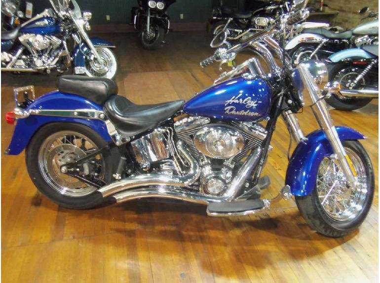 2006 harley-davidson flstf/flstfi fat boy 