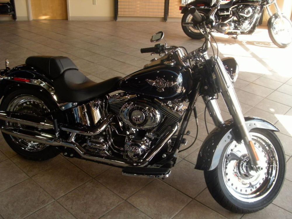 2013 harley-davidson flstf  standard 