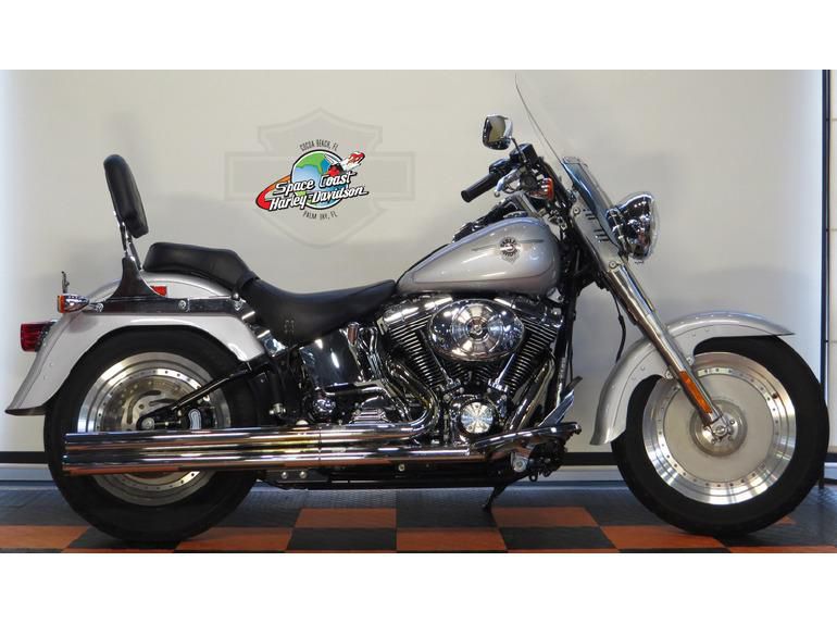 2002 Harley-Davidson FLSTF Cruiser 