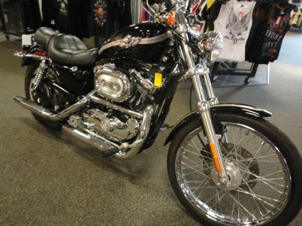 2003 harley-davidson xl 1200c sportster 1200 custom