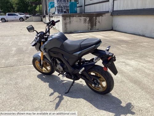 2024 Kawasaki Z125 PRO