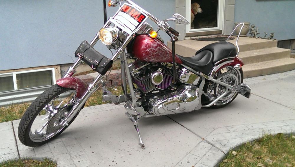 2008 harley-davidson other  custom 