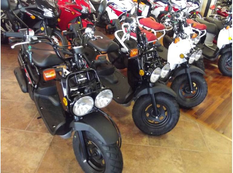 2013 honda ruckus (nps50) 