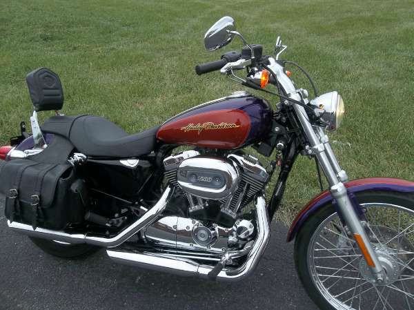 2006 harley-davidson sportster 1200 custom