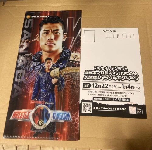 New Japan Pro Wrestling Ticket Case Hiromu Takahashi Desperado Postcard Set