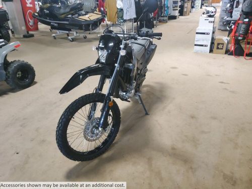 2024 Kawasaki KLX 300