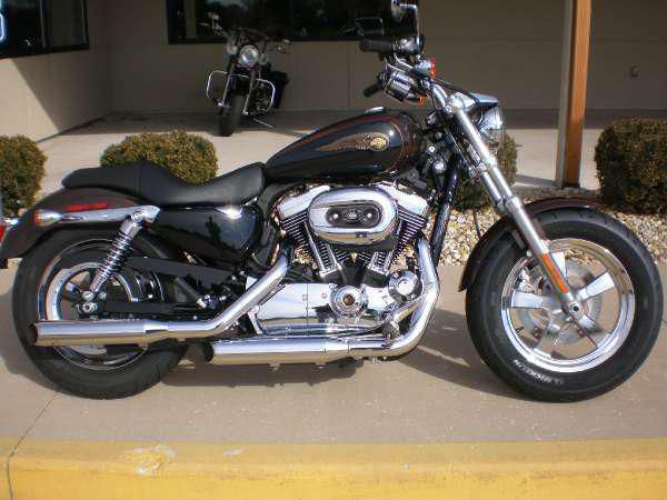 2013 harley-davidson xl1200c-anv sportster 1200 custom 110th ann  cruiser 