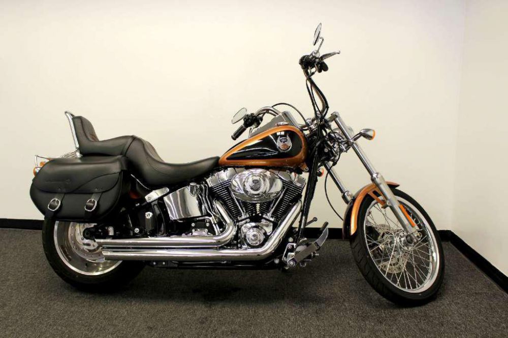 2008 harley-davidson fxstc softail custom  cruiser 