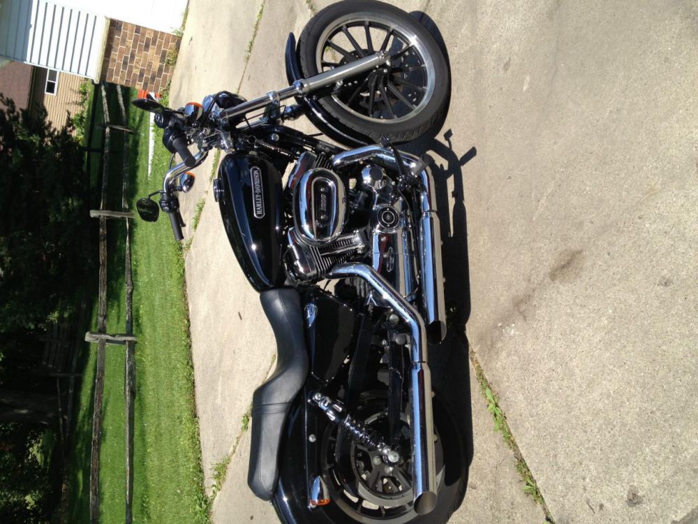 2007 harley-davidson sportster 1200 low standard 