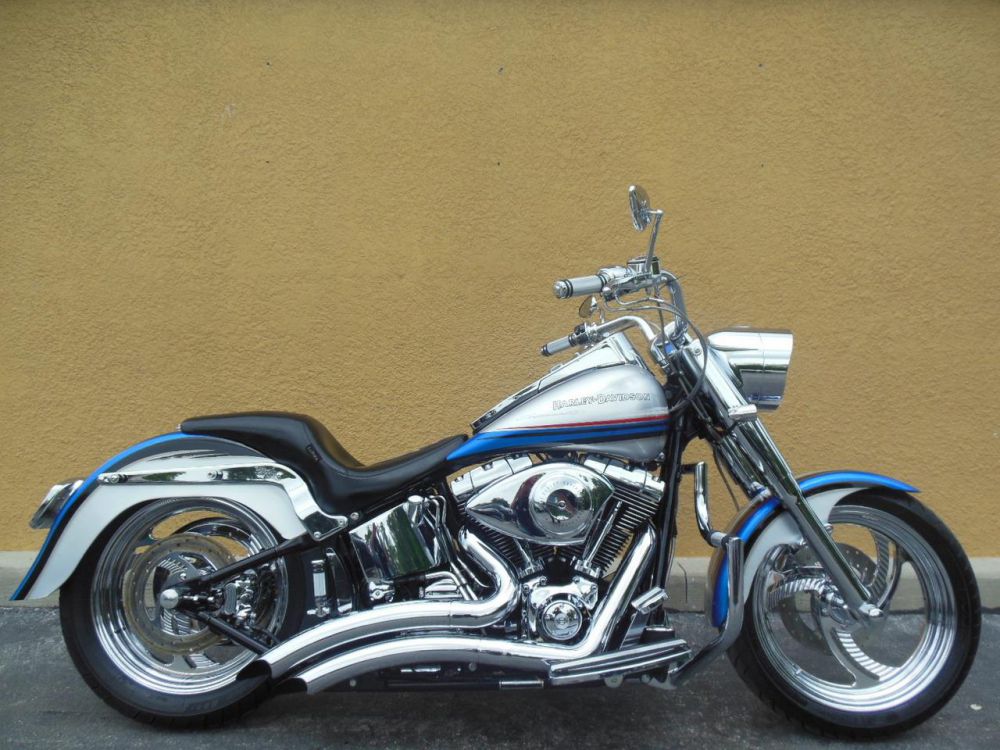 2001 Harley-Davidson SOFTAIL STANDARD Cruiser 