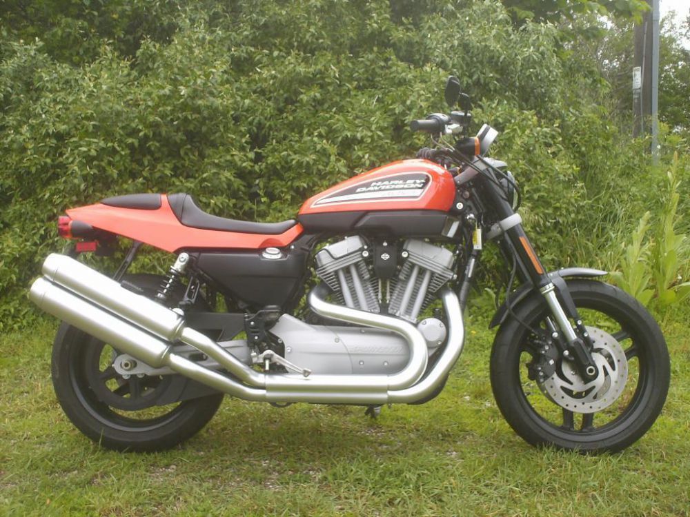 2009 harley-davidson xr1200 sportster  cruiser 