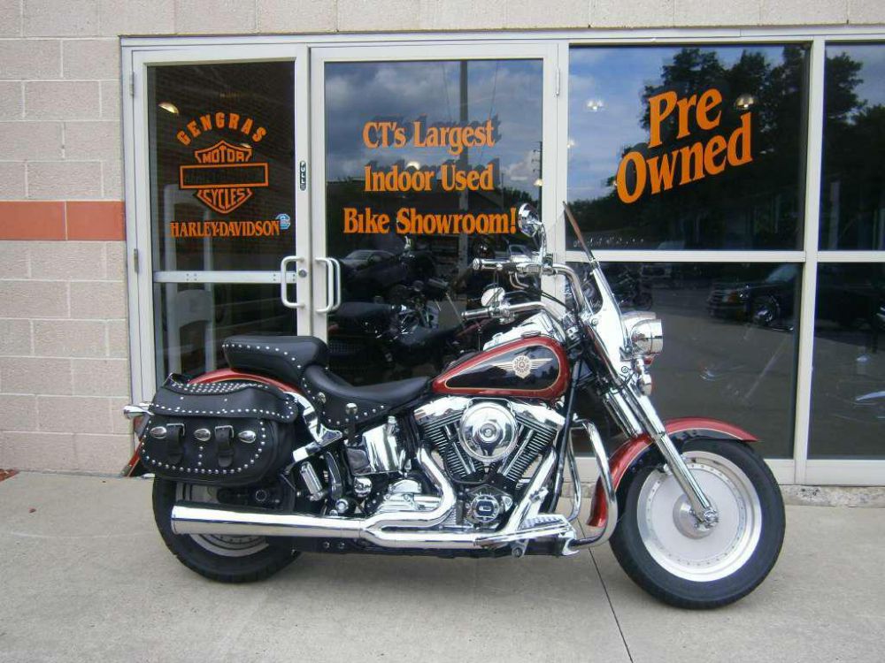 1998 Harley-Davidson FLSTF Standard 