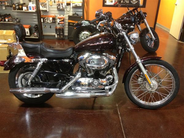 2006 harley-davidson sportster 1200 custom