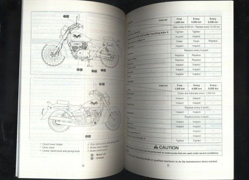 Hyosung GV 250 Aquila Mirage (00-08) Factory Issue Owners Riders Manual EW37 #