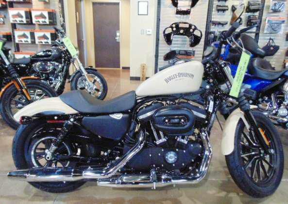 2014 harley-davidson xl 883n sportster iron 883  cruiser 