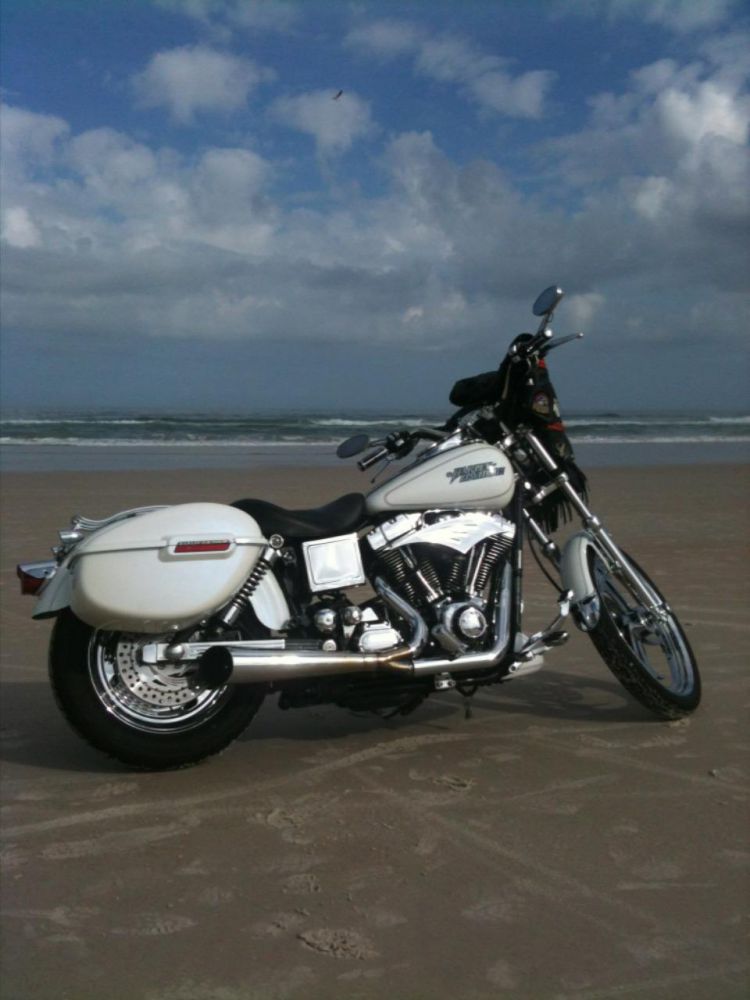 2005 harley-davidson dyna  custom 