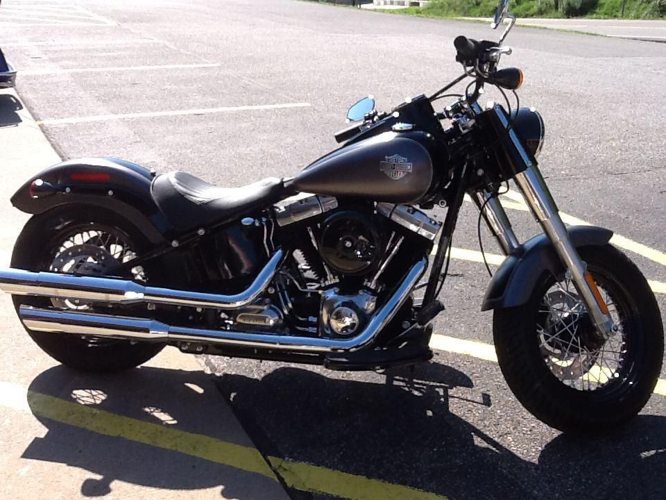 2014 Harley-Davidson FLS Softail Slim Cruiser 