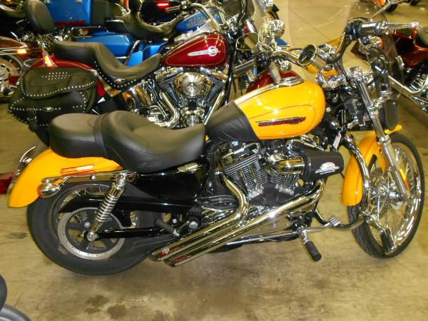 2008 harley-davidson xl 1200c sportster 1200 custom