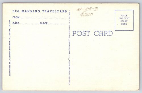 Desert desperados reg manning travelcard vintage postcard