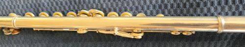 VENTO FLUTE IN CASE